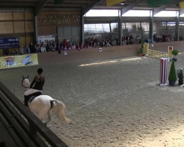 Bonn - Gut Ettenhausen: Stilspringprüfung Kl.E-19.04.2014