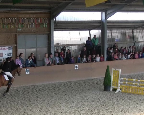 Bonn - Gut Ettenhausen: Stilspringprüfung Kl.A-19.April 2014