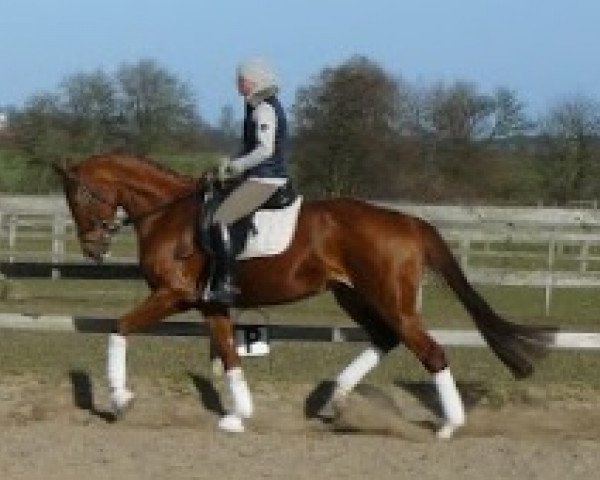 broodmare Esmeralda (Hanoverian, 2008, from Escudo I)