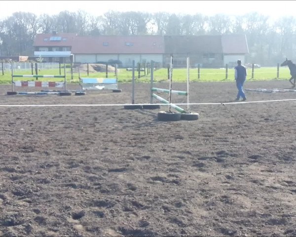 Video of Calle vom Kiez 2
