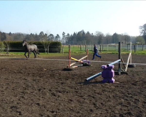Video of Calle vom Kiez 2