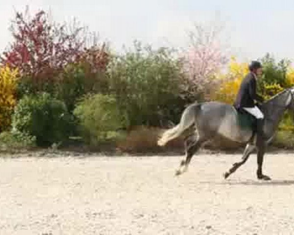 Video di Coco Jump