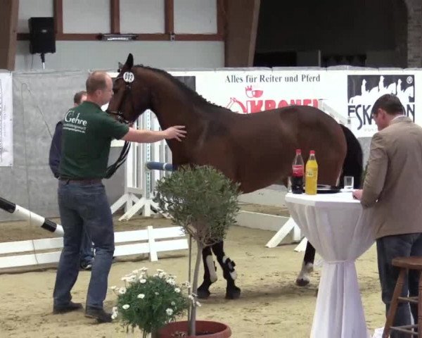 1. NRW Freispringchampionatsfinale Uedem-Keppeln 13.04.2014
