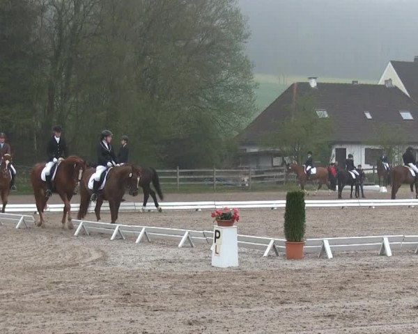 Video of Sir-Sam, Lady-Luna 2, Skyline 67