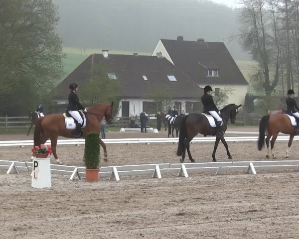 Video af Ribeira, Rubin Royal