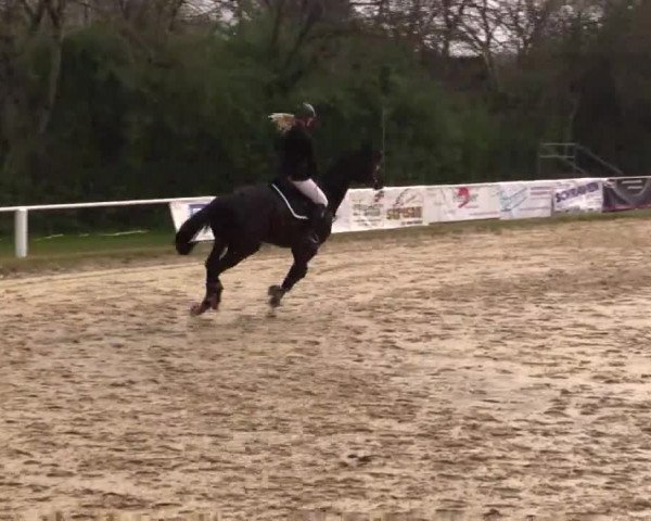 Video von Quirada 3