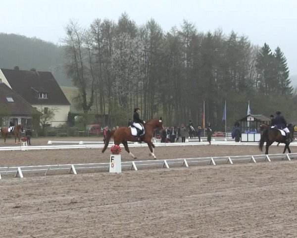 Video of Dundee H 2, Donna Fiora, Donner Karlson
