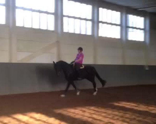 Video of Fantastic Flair 2