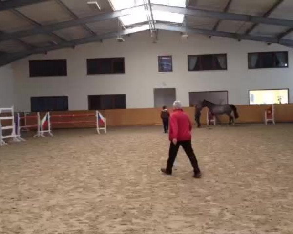 Video di Clintall