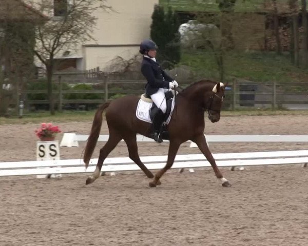 Video of Isaris Golden Samboca