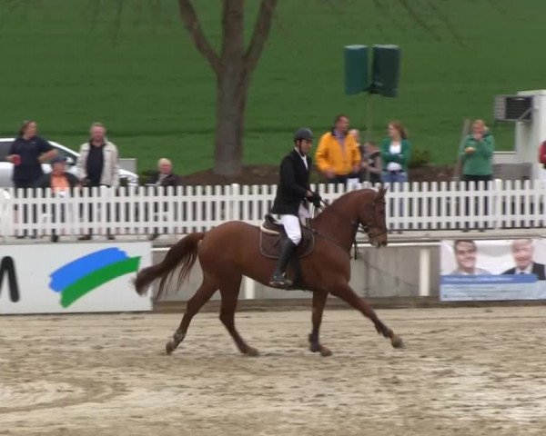Balve-Wocklum Regio 2014 04.04.2014
27 Qualifikation zur IKONIC Youngster-Tour/Preis der Fa.IKONIC Saddlery
