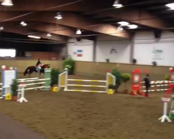 Video of Little Lightning