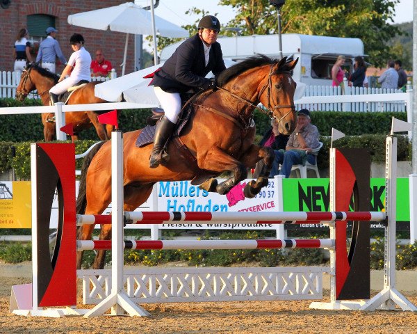 horse Luitpold FT (Oldenburg,  )