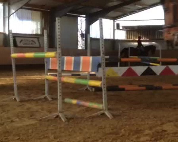Video of Lara