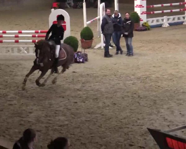 Video of bodethals-noble-man