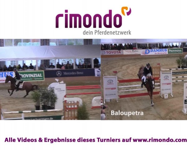 Video von Can win