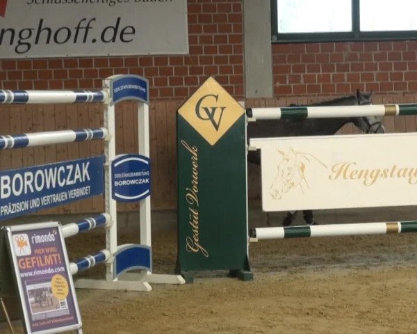 Freispringen Heiden/ Baune 2014