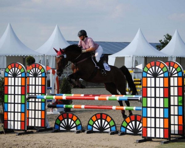 broodmare La Vida (Westphalian, 2009, from Landphönix II)