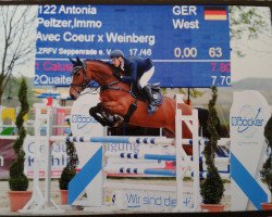 broodmare Antonia (Westphalian, 2008, from Avec Coeur 6)