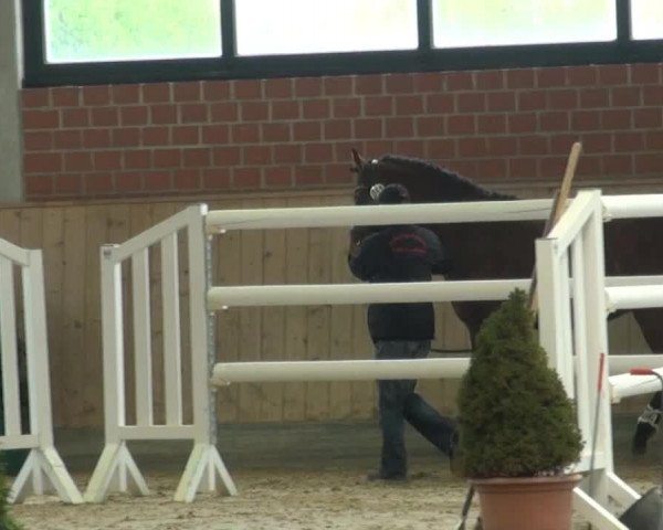 Freispringen Heiden/ Baune 2014