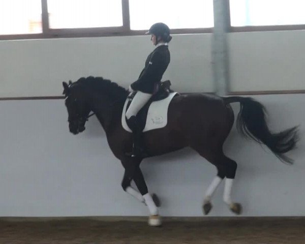 Züchterfrühschoppen Beckmann 2014