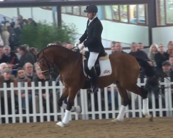 Züchterfrühschoppen Beckmann 2014