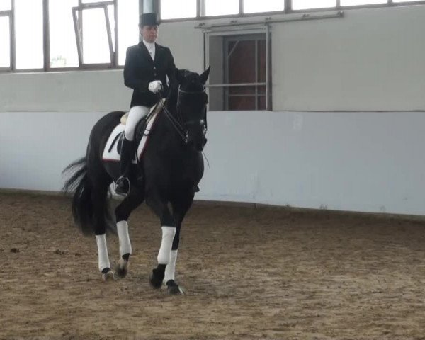 Züchterfrühschoppen Beckmann 2014