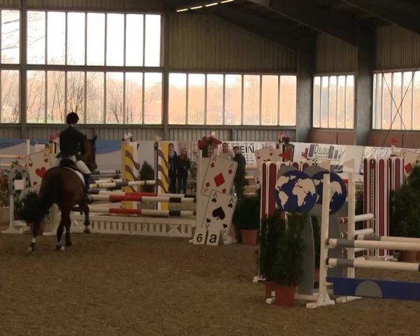 Hallen-Springturnier Greven 2014 14.03.2014
08