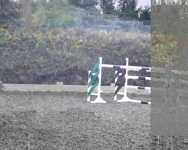 Video of Feuerstern
