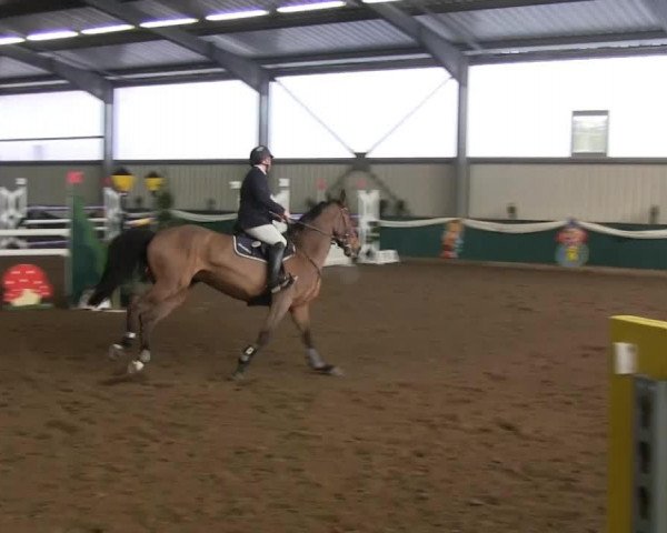 Hallenreitturnier Arnsberg-Voßwinkel 2014