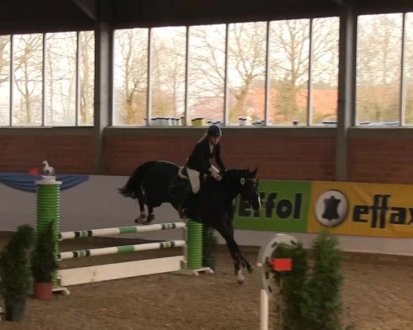 Hallen-Springturnier Greven 2014 14.03.2014
08