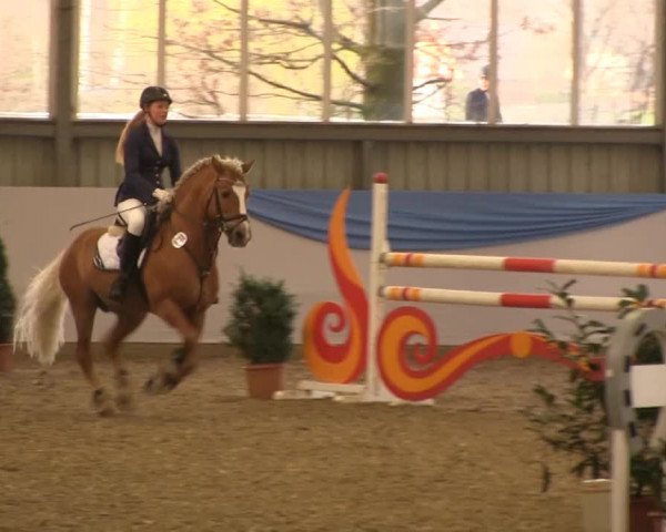 Hallen-Springturnier Greven 2014 14.03.2014
08