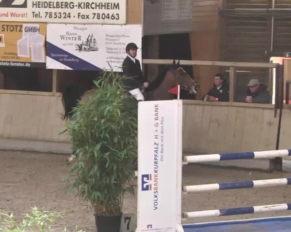 Video of Sherif du Tillard