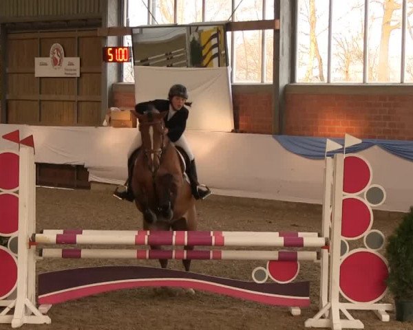 Hallen-Springturnier Greven 2014 14.03.2014
08