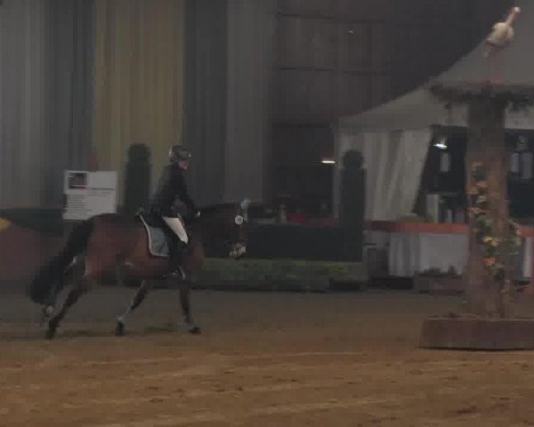 Vidéo de Caminar