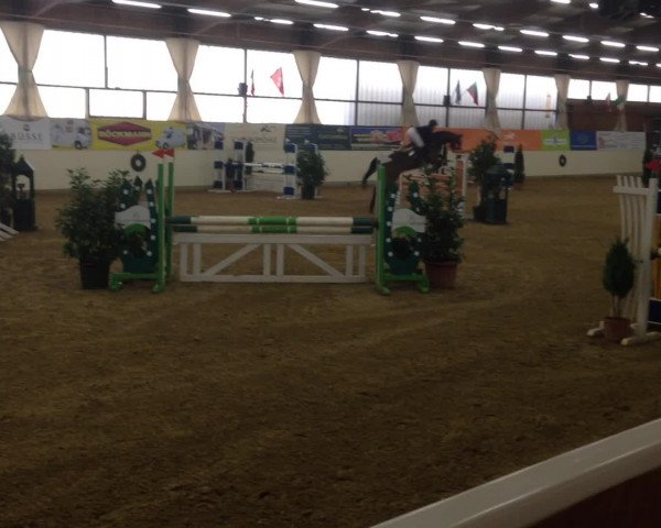 Damme/Neuenwalde 2014