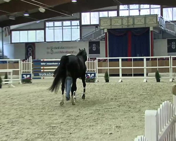 Tag des Freispringens Vechta 01.03.2014
