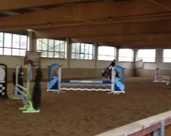 Video von Dorina 977