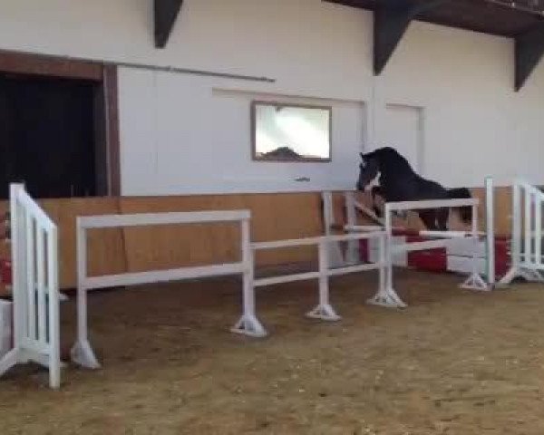 Video von Corde Dacora