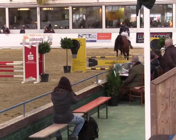 Hallenspringturnier in Borken 2014