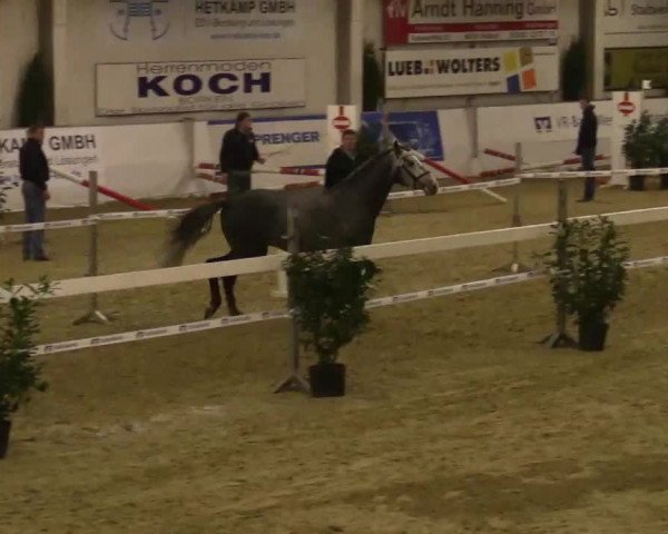 Freispring-Wettbewerb Borken 2014, 15.02.2014 20/2