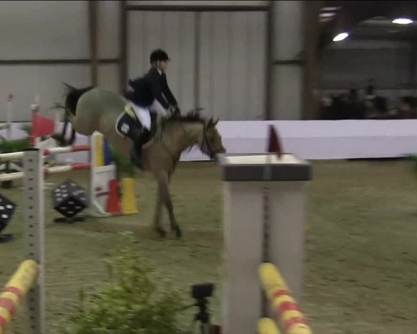 Hallenspringturnier Barlo Bocholt 2014 18.01.2014
05.2 697-1887 RLP
