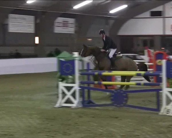 Hallenspringturnier Barlo Bocholt 2014 18.01.2014
05.2 697-1887 RLP
