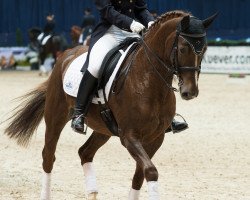dressage horse Miss Milly 3 (Westphalian, 2001, from Medici)