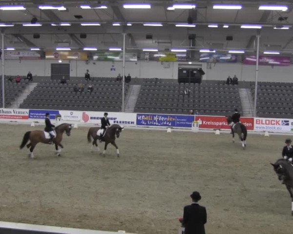 Video of Hans im Glück 5, Titiano, Rubianus 2