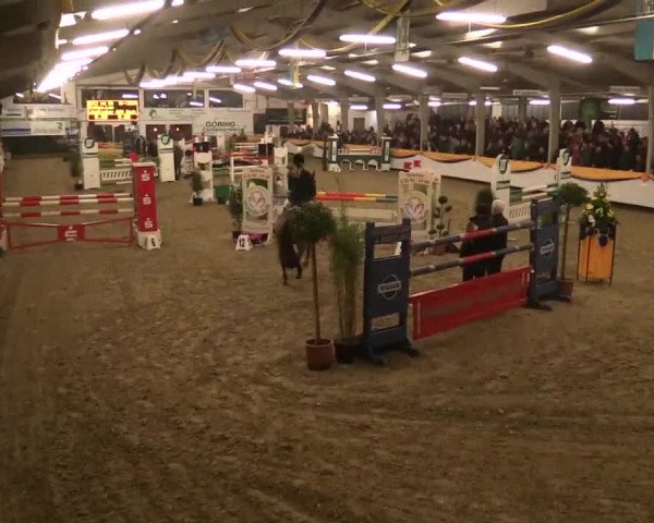 Vreden 2014
09 Pony-Zwei-Phasen-Springprfung K M*