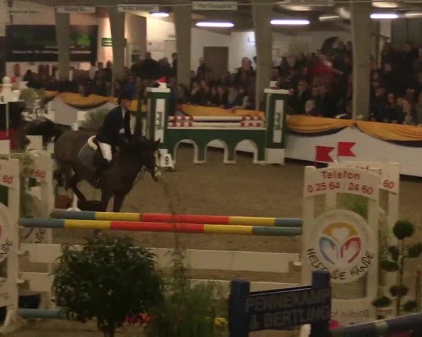 Vreden 2014
09 Pony-Zwei-Phasen-Springprfung K M*