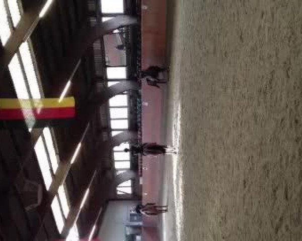 Video of Sandro's Bud