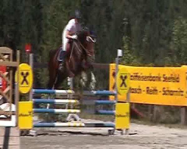 Video of Pablo's Boy