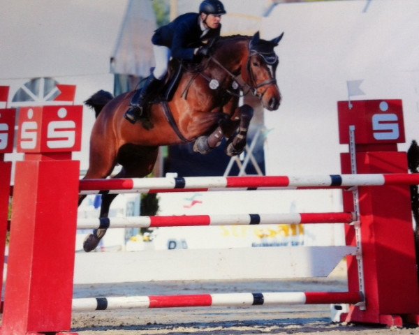 jumper Chico (Westphalian, 2005, from Cecotto)